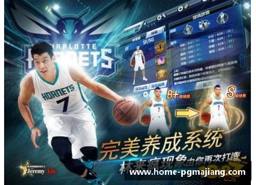 NBA梦之队：球场上的超级明星阵容